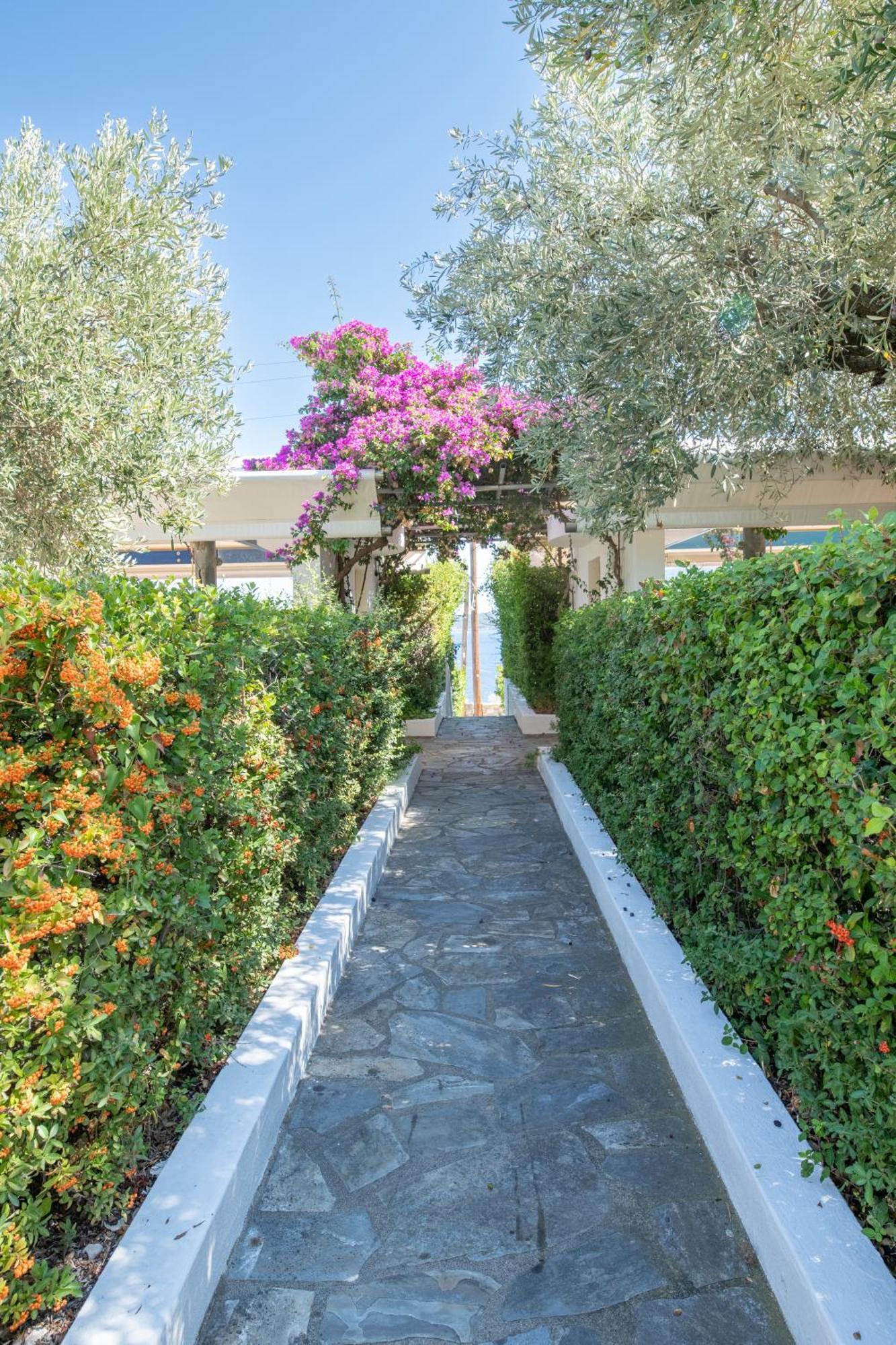 Elea Villas Στενή Βάλα Αλοννήσου Εξωτερικό φωτογραφία